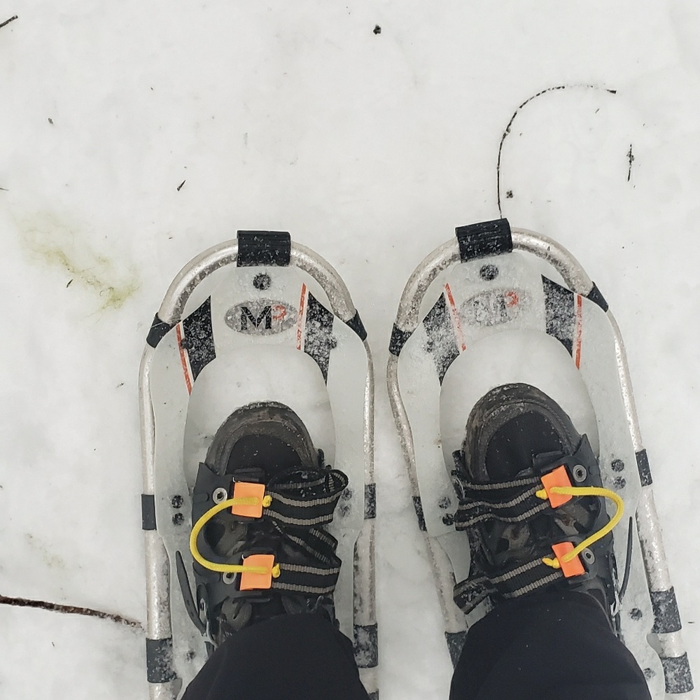 Meet your Posher, Dave